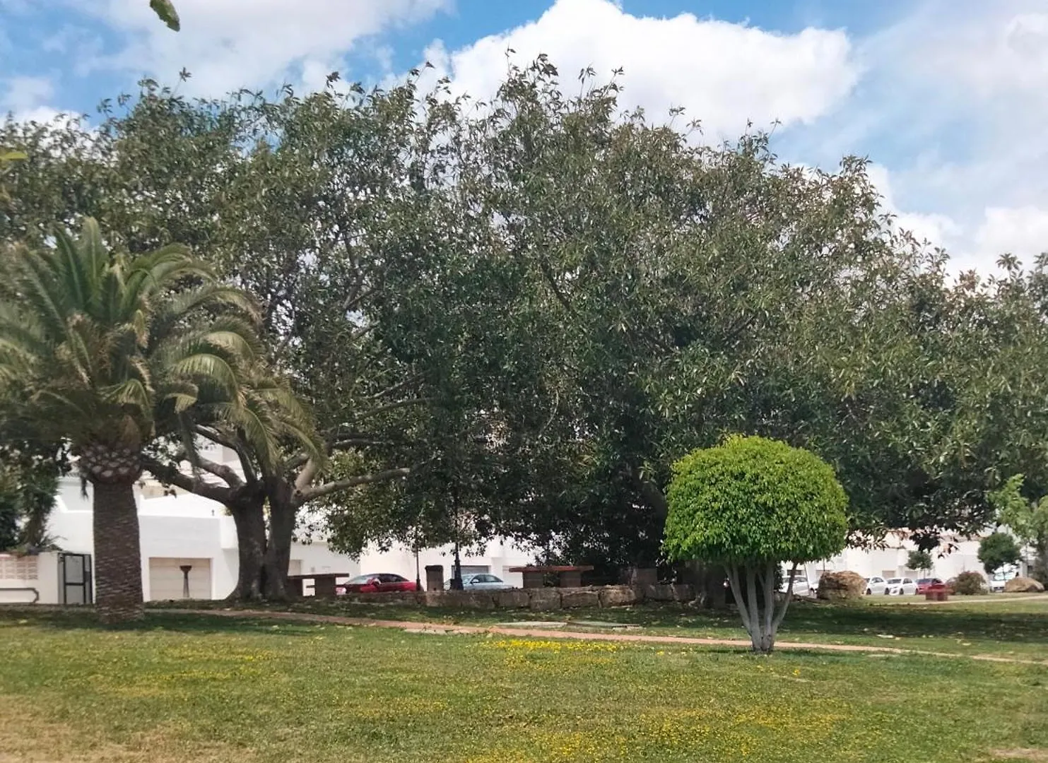Apartamento Primera Linea De Playa Manilva